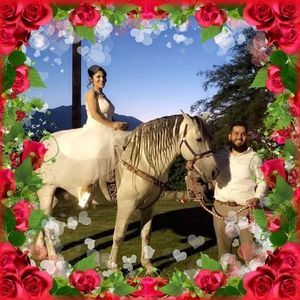 Meet your Posher, Elvira